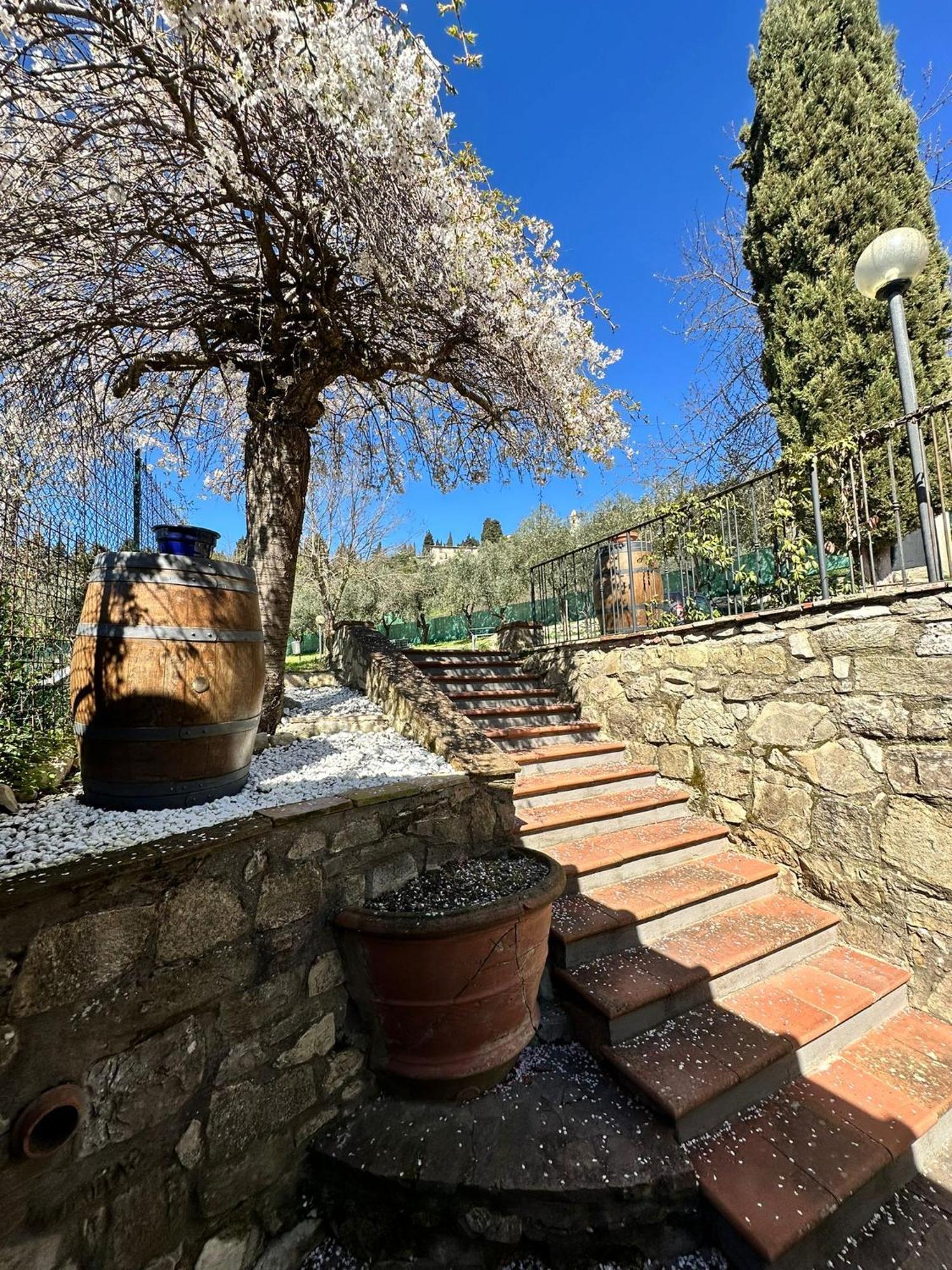 Agriturismo Tassinaia ปอนตาสซิเอเว ภายนอก รูปภาพ