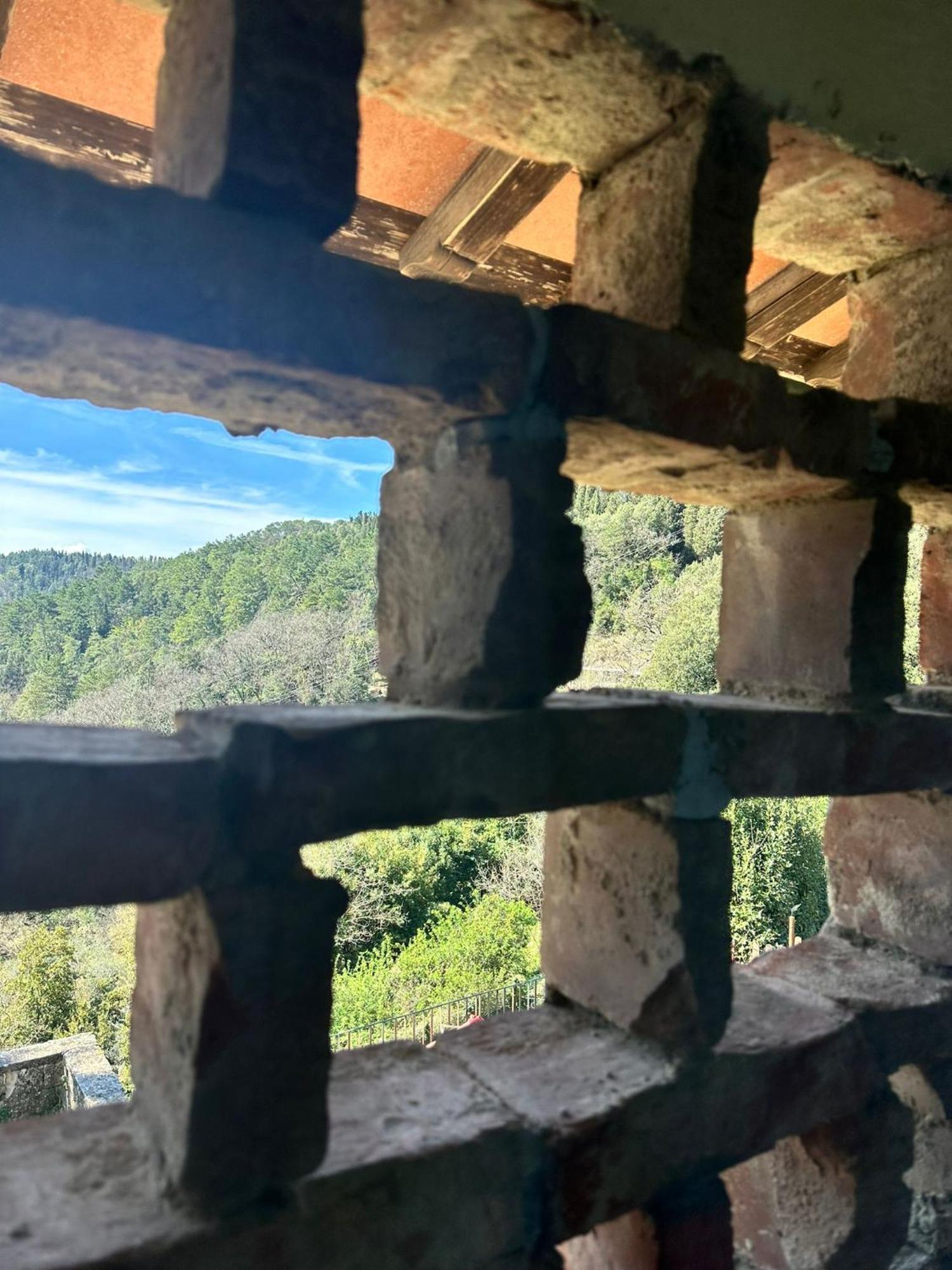 Agriturismo Tassinaia ปอนตาสซิเอเว ภายนอก รูปภาพ